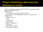 Intro to Lab 3: Modeling a Microvascular Network on a