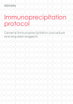 Immunoprecipitation protocol