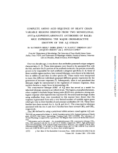 COMPLETE AMINO ACID SEQUENCE OF HEAVY CHAIN