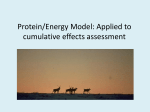 Russell Energy-Protein model presentation