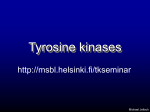 PowerPoint Presentation - Tyrosine kinases