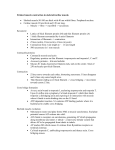 Striated muscle contraction in skeletal/cardiac muscle