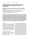 POPCORN Functions in the Auxin Pathway to Regulate