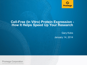 Cell-Free (In Vitro) Protein Expression