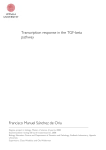 Transcription response in the TGF-beta pathway Francisco Manuel
