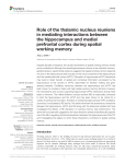 Role of the thalamic nucleus reuniens in mediating interactions