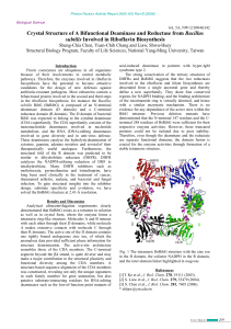 Crystal Structure of A Bifunctional Deaminase and