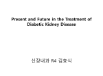 Present and Future in the Treatment of Diabetic Kidney Disease