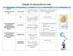 C10 Vocabulary and Learning Target Packet