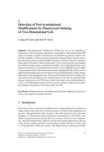 Detection of Post-translational Modifications by