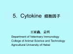 5. Cytokine