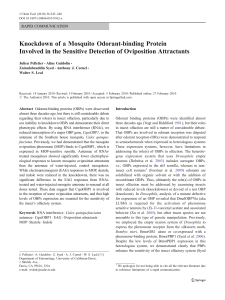 Knockdown of a Mosquito Odorant-binding Protein Involved in the