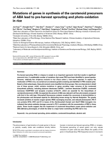 Mutations of genes in synthesis of the