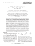 Metabolism of the Food-Associated Carcinogen 2-Amino-1-methyl