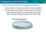 5.3 Regulation of the Cell Cycle CANCER