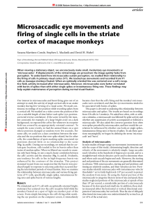 Microsaccadic eye movements and firing of single cells in the striate