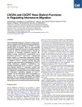 CXCR4 and CXCR7 Have Distinct Functions in Regulating
