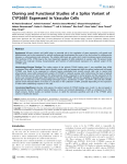 Cloning and Functional Studies of a Splice Variant of