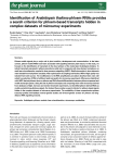 Identification of Arabidopsis thaliana phloem RNAs