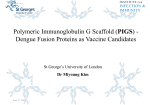 Dengue Fusion Proteins as Vaccine Candidates