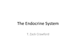 The Endocrine System