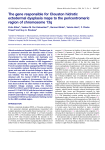 The gene responsible for Clouston hidrotic