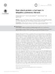 Heat shock protein: a hot topic in idiopathic pulmonary fibrosis