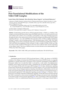 Post-Translational Modifications of the TAK1-TAB Complex
