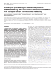 Nucleolytic processing of aberrant replication intermediates by an