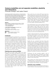 Sensory modalities are not separate modalities: plasticity and