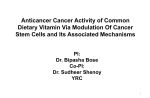 Anticancer Therapy Via Modulation Of Cancer Stem Cells