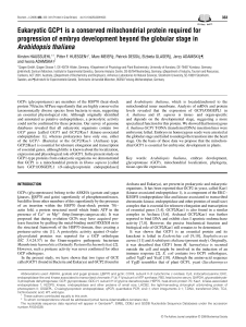 Eukaryotic GCP1 is a conserved mitochondrial protein required for