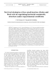 Survival strategies of two small marine ciliates and their role in