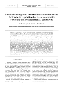 Survival strategies of two small marine ciliates and their role in