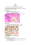 Week 7 - Skin Epithelia - PBL-J-2015