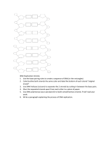 DNA Replication Activity 1. Use the base pairing rules to create a