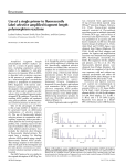 Use of a single primer to fluorescently label selective amplified