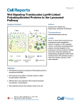 Wnt Signaling Translocates Lys48-Linked