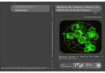 Metabolic Flux Analysis of Neural Cell Metabolism in Primary