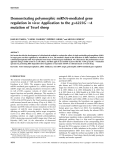 Demonstrating polymorphic miRNA-mediated gene