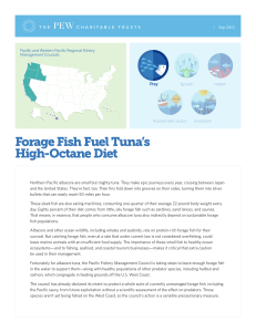 Forage Fish Fuel Tuna`s High-Octane Diet