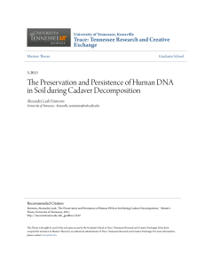 The Preservation and Persistence of Human DNA in Soil during