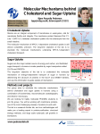 Molecular Mechanisms behind Cholesterol and Sugar Uptake