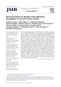 Structural Basis for Bivalent Smac-Mimetics Recognition in the IAP