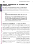 Histidine protonation and the activation of viral fusion proteins