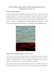 Role of the Master regulator HetR in the cellular differentiation