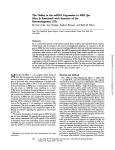 The Defect in Fas mRNA Expression in MRL/Ipr Mice Is Associated