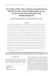 factors affecting green fluorescence protein (gfp) gene