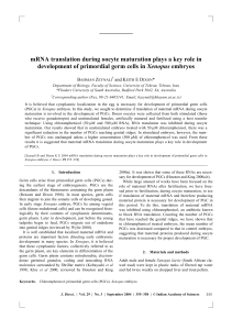 mRNA translation during oocyte maturation plays a key role in