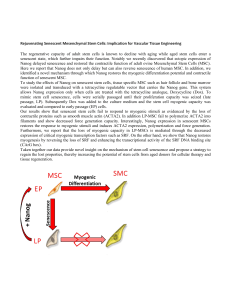 Rejuvenating Senescent Mesenchymal Stem Cells: Implication for